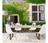 Tzxztt Architecture Rétro Porte En Bois Plantes Vignes Papier Peint 3E Moderne Soie Texturée Haut De Gamme IdéAl Pour Le Salon Et La Chambre à Coucher-300cm×210cm