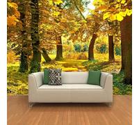 Tzxztt Chaleureux Et Magnifique Parc Autumn Yellow Woods Papier Peint 3E Moderne Soie Texturée Haut De Gamme IdéAl Pour Le Salon Et La Chambre à Coucher-300cm×210cm