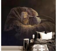 Tzxztt Dessin À La Main Créatif Rétro Nostalgique Feuille De Nénuphar Fleur De Lotus Papier Peint 3D Moderne Soie Texturée Haut De Gamme Idéal Pour Le Salon Et La Chambre à Coucher-430cm×300cm