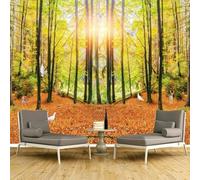 Tzxztt En Relief Soleil Forêt Oiseaux Petits Cerfs Papier Peint 3d Moderne Soie Texturée Haut De Gamme IdéAl Pour Le Salon Et La Chambre à Coucher-430cm×300cm