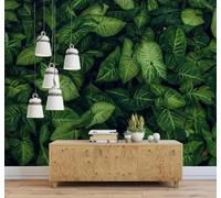 Tzxztt En Trois Dimensions Frais Vert Tropical Plantes Feuilles Papier Peint 3D Moderne Soie Texturée Haut De Gamme Idéal Pour Le Salon Et La Chambre à Coucher-200cm×140cm