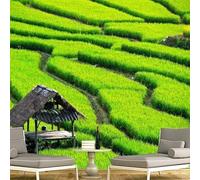 Tzxztt Fraîcheur Vert Champs De Blé Cabane Délabrée Papier Peint 3d Moderne Soie Texturée Haut De Gamme IdéAl Pour Le Salon Et La Chambre à Coucher-350cm×256cm