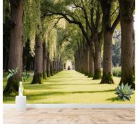 Tzxztt Herbe Verte Soleil Ombre Des Arbres Sentier Espace Qui S'Étend Papier Peint 3D Moderne Soie Texturée Haut De Gamme Idéal Pour Le Salon Et La Chambre à Coucher-150cm×105cm