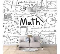 Tzxztt Minimaliste Noir Et Blanc Géométrique Mathématique Art Papier Peint 3E Moderne Soie Texturée Haut De Gamme IdéAl Pour Le Salon Et La Chambre à Coucher-250cm×170cm