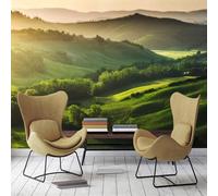 Tzxztt Montagnes Verdoyantes Forêt Lumière Du Soleil Papier Peint 3E Moderne Soie Texturée Haut De Gamme IdéAl Pour Le Salon Et La Chambre à Coucher-430cm×300cm