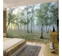 Tzxztt Paysage Naturel De La Forêt Verte Du Parc Papier Peint 3E Moderne Soie Texturée Haut De Gamme IdéAl Pour Le Salon Et La Chambre à Coucher-250cm×170cm