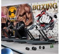 Tzxztt Rétro Mur De Briques Personnages Exercice Salle De Sport Papier Peint 3D Moderne Soie Texturée Haut De Gamme Idéal Pour Le Salon Et La Chambre à Coucher-250cm×170cm