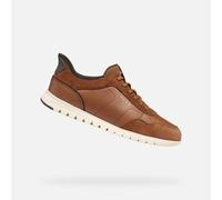 Baskets Geox Flextridezero Plus Marron 40