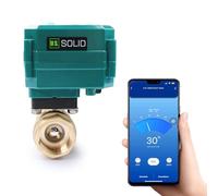 U.S. Solid Vanne à boisseau sphérique intelligente WiFi de 2,5 cm motorisée - Contrôle à distance mobile par application, robinet électrique en laiton avec interrupteur manuel, connexion USB 5V CC
