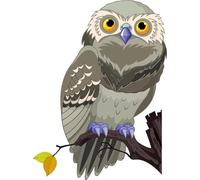 U24 Autocollant pour voiture Motif chouette sur AST 9 x 12 cm