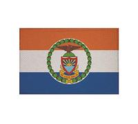 U24 Bronx New York City Écusson thermocollant Motif Drapeau de la Ville 9 x 6 cm