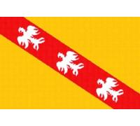 U24 Drapeau de la Lorraine 60 x 90 cm