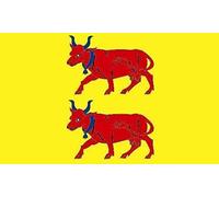 U24 Drapeau de moto Bearn - 20 x 30 cm