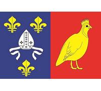 U24 Drapeau du département de Charente Maritime 20 x 30 cm