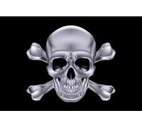 U24 Drapeau du Pirate Tête de Mort Argent Haute Qualité pour bateau drapeau 30 x 45 cm