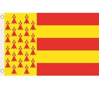 U24 Drapeau Pays Bigouden (France) Drapeau à hisser 90x150cm