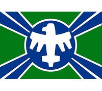 U24 Drapeau Starship Troopers Federation 90 x 150 cm