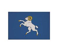 U24 Écusson Cornouaille Drapeau Bretonne thermocollant 9 x 6 cm