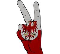 U24 Écusson Peace Finger Brandebourg thermocollant 13 x 6 cm