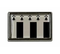 U24 Pin Rennes Pin's drapeau, Acrylique