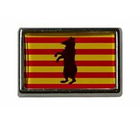 U24 Pin's drapeau de Beringen (Belgique)