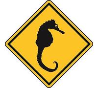 U24 Sticker autocollant pour voiture Panneau Prudence Hippocampe