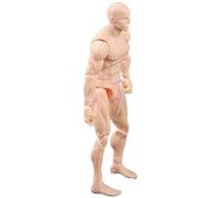 Uanqfegy Corps de Figurine d'action Vierge en PVC, modèle posable de Bricolage 4, 1 Pouces pour Peindre, Dessiner et Jouer sur scène, Couleur Peau/mâle