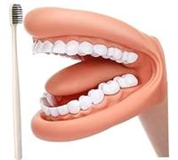 Uanqfegy Modèle d'enseignement Dentaire - Marionnette de démonstration de santé bucco-Dentaire avec Langue et Dents Mobiles, avec Brosse à Dents pour Outil Parole pour Enfants