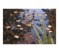 Ubbink filet housse Couverture d'étang bassin de jardin PE 3x6 m 1064338 Ubbink