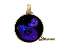 UBBVPKY Collier Constellation 12 Signes Du Zodiaque Vintage Pendentif Rond Collier Horoscope Constellations Astrologie Clavicule Chaîne Bijoux Anniversaire Cadeaux Pour Femmes Hommes Unisexe Verseau