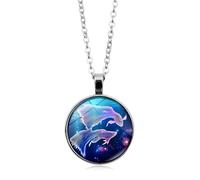 UBBVPKY Collier Constellation Lumineuse Femme Homme 12 Signes Du Zodiaque Pendentif Rond Lumineux Chaîne Pull Horoscope Astrologie Colliers Cadeaux Pour Unisexe Poisson