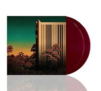 Haunt the Woods – Ubiquity – Vinyle 12" coloré