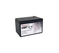 Salicru Batterie d'onduleur UBT 12/12 – 12 Ah, acide de plomb (1 batterie)