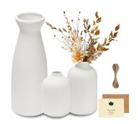 UCAMP Vases en Céramique 3 Set,Vase Décoratif,Petits Vases pour Simple Boho Decoratif,pour Centre Table Deco,à Manger Bureau Décoration Intérieure pour Les Fleurs Fraîches et Séchées
