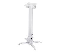 Uchwyt Avtek Easy Mount 43-65 Biały