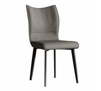 UCKYSU Salon Mobilier Chaises à Manger Lot De 2 Chaises Salle Manger Métal Idéales for Le Salon La Chambre Coucher La Cuisine Ou La Salle Manger Industrielle(B)