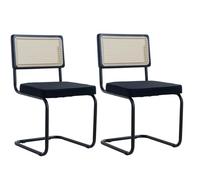 Uderkiny Lot de 2 chaises de conférence, chaises cantilever, chaises de bureau, salle à manger, convient pour salle de conférence, salle d'attente, bureau, restaurant, dossier en rotin, cadre en acier