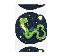 UDFKGLP Peinture décorative en étain motif serpent vert dans le ciel étoilé 20,3 x 30,5 cm. Fabriqué en fer blanc, résistant à l'usure et durable