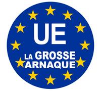 Ue La Grosse Arnaque - 10cm - Sticker/Autocollant