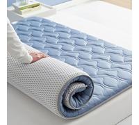UE-MAOLU Matelas Pliable Japonais, Futon Doux Et Agréable pour La Peau, Matelas De Massage Portable, Antidérapant Et Respirant, Matelas De Camping pour Les Voyages D'agrément (C,90x190cm)