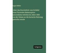 Ueber das Bruchstück vom Schädel eines Finnwales Balaenoptera syncondylus welches im Jahre 1860 von der Ostsee an die kurische Nehrung geworfen wurde