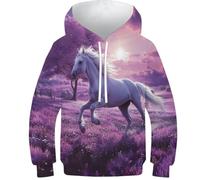 UENDOKRNN Le Cheval Garçons Et Filles Imprimé 3D Sweat À Capuche 11-13Y