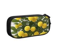 UENFFKDAP Trousse ronde avec fermeture éclair - Grande capacité - Pour l'école et le bureau - Unisexe, Noir , Taille unique, Trousse de maquillage