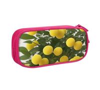 UENFFKDAP Trousse ronde avec fermeture éclair - Grande capacité - Pour l'école et le bureau - Unisexe, rose, Taille unique, Trousse de maquillage