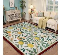 UERWOWELL Tapis de Salon Floral 60x120cm Mince Lavable Boho Grenade Fruit imprimé Tapis Vintage botanique esthétique paillasson pour Bureau à Domicile