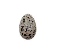 Œuf Jaspe dalmatien poli naturel, cristal poli avec propriétés énergétiques, sphère polie, pierre polie, œuf pierre cristal (Jaspe dalmatien)