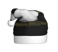 UFhgjjb Bonnet de Noël pour adulte - Chapeau de Père Noël festif unisexe avec imprimé panda géant sur la pelouse - Chapeau de Noël en peluche