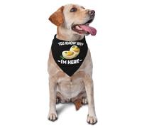 Œufs Mimosa Rigolos pour Thanksgiving : Vous Savez Pourquoi Je suis Là Écharpe Triangulaire Réglable Foulard Triangulaire Chiens Lavable Écharpe pour Chien pour Quotidien Chiot