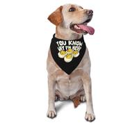 Œufs Mimosa Rigolos pour Thanksgiving : Vous Savez Pourquoi Je suis Là Foulard Triangulaire Chiens Mode Écharpe Triangulaire Réglable Écharpe pour Chien pour Quotidien Animal De Compagnie