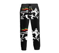 Ufuson Lion of Judah Rasta Flag Pantalon de jogging pour homme Imprimé 3D Vêtements de sport décontractés, blanc, 27-32